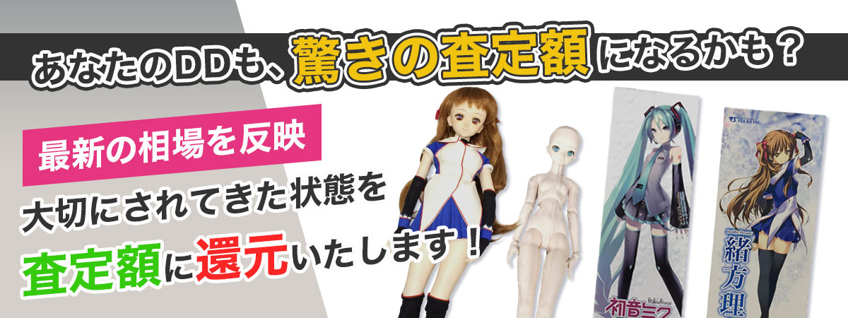 専門店だからできるドルフィードリーム高価買取