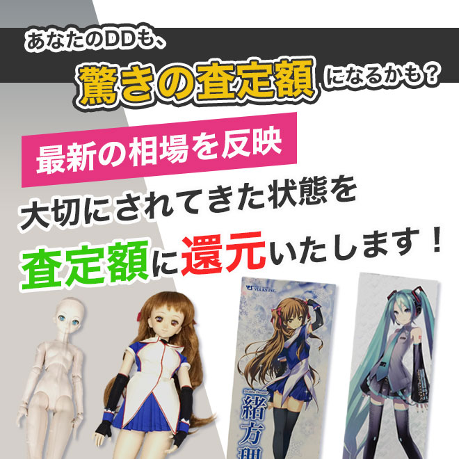 専門店だからできるドルフィードリーム高価買取